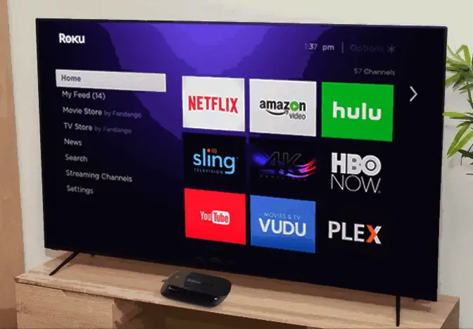 How to Delete Channels on Roku